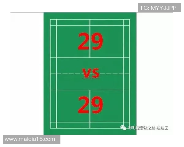 羽毛球战术探讨杭州羽毛球队区域防守体系的构建与应用分析 羽毛球战术探讨杭州羽毛球队区域防守体系的构建与应用分析