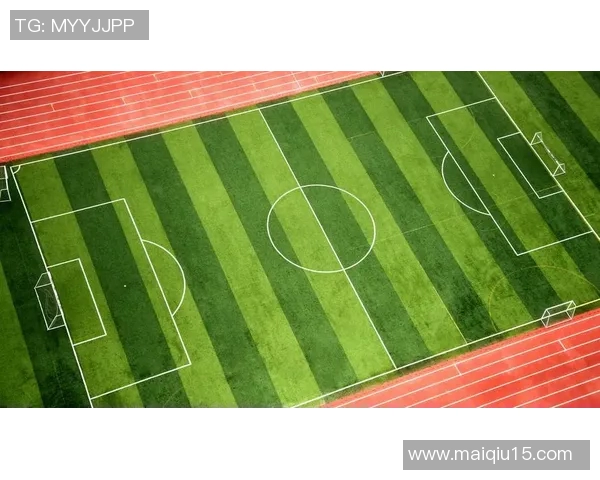 网球焦点成都网球队与欧冠足球个人能力的深度比较与分析