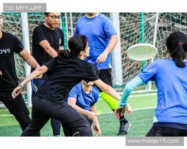 武汉飞盘队团队协作分析与其他体育团队的对比研究